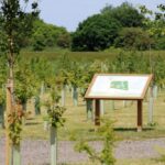 Gunton Woodland Burial Park