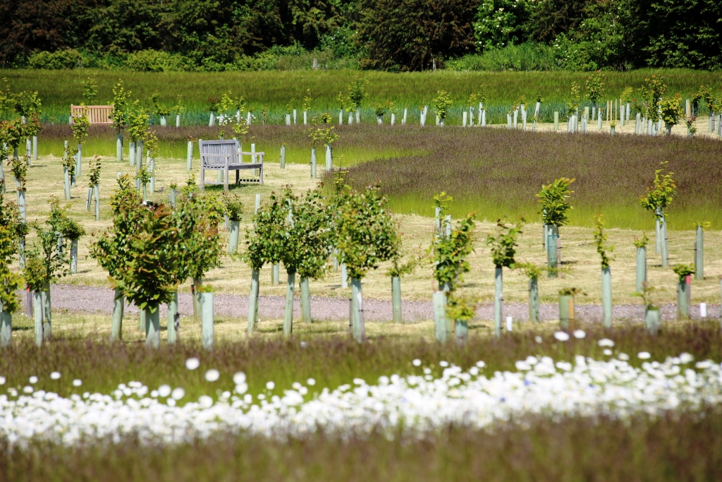 Gunton Woodland Burial Park