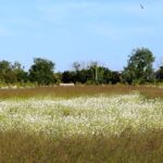 Gunton Woodland Burial Park