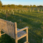 Gunton Woodland Burial Park