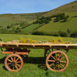 Hay Meadow Natural Burial Ground
