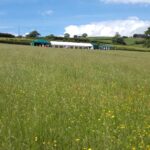 Hay Meadow Natural Burial Ground