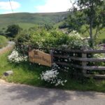 Hay Meadow Natural Burial Ground