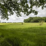 Ibworth Woodlands Natural Burial Ground