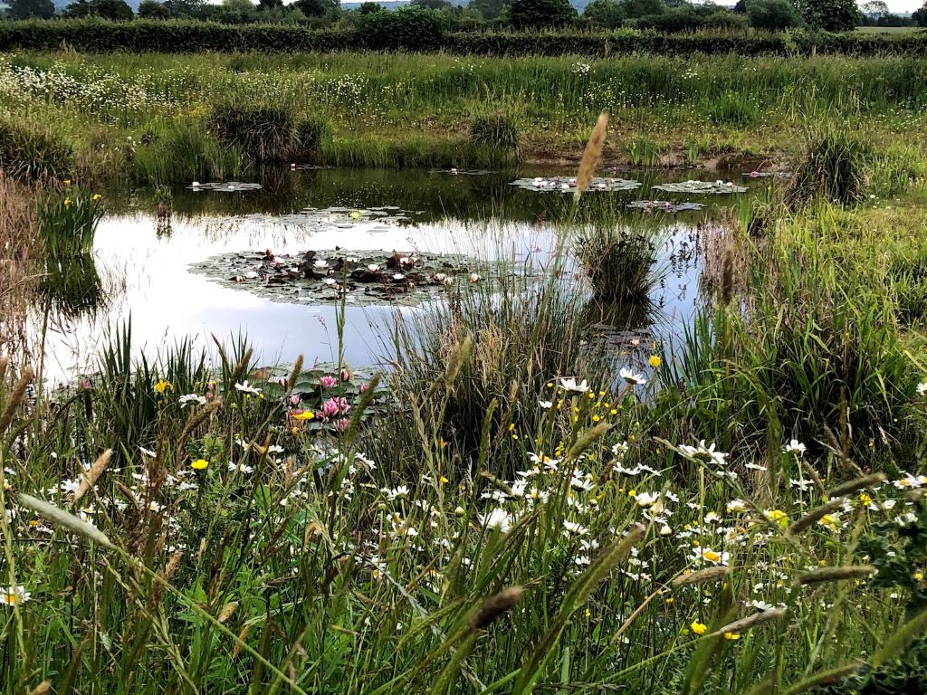 Aylesbury Vale Natural Burial Ground