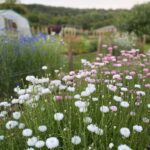 The Ledbury Flower Farmer